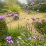 فندق مبيت وإفطار Blackberryhouse *