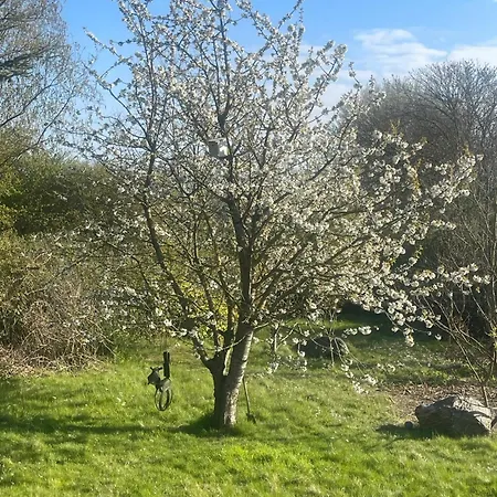 Bed & Breakfast Blackberryhouse